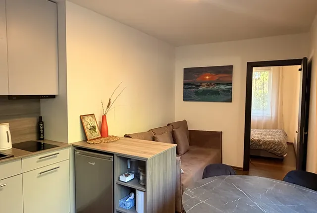 "Miško apsuptis" - apartamentai su terasa ir SPA nuotrauka