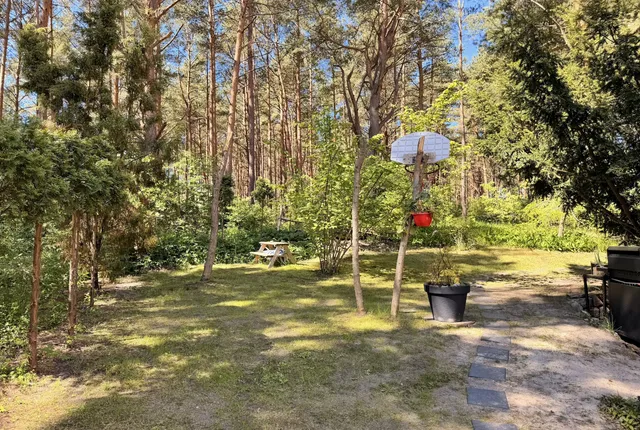 "Queen of the Pines" double apartment with terrace and SPA photo