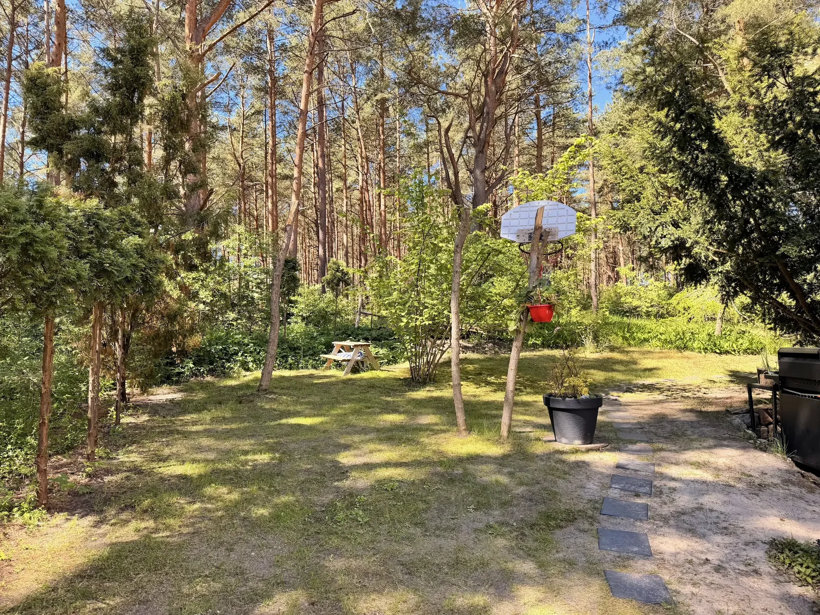 "Queen of the Pines" double apartment with terrace and SPA photo