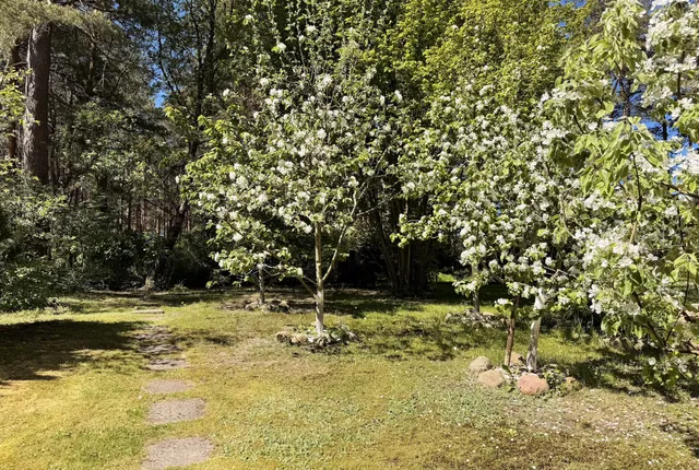 "Queen of the Pines" double apartment with terrace and SPA photo