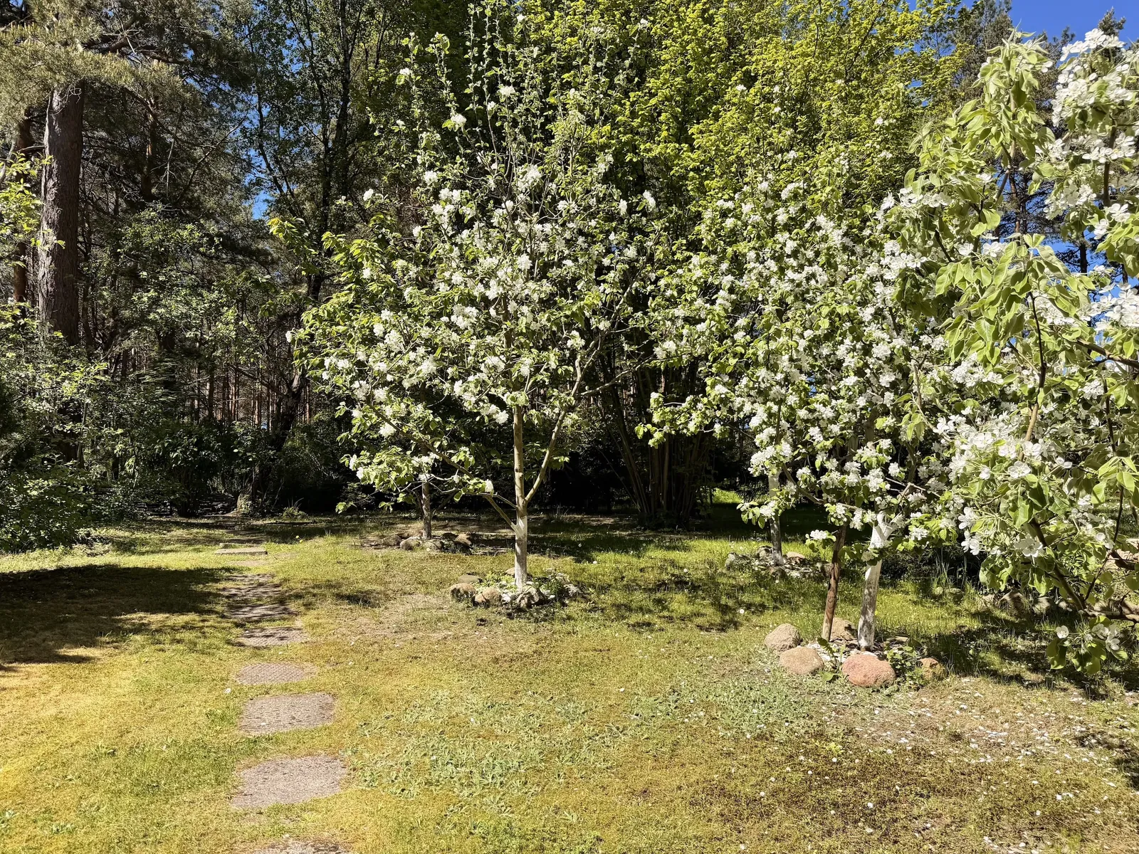 "Queen of the Pines" double apartment with terrace and SPA photo