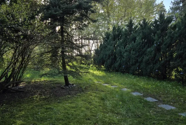 "Kiemelis" - apartamentai su terasa ir SPA nuotrauka