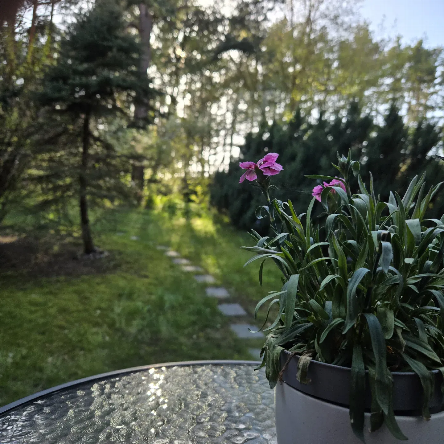 "Kiemelis" - apartamentai su terasa ir SPA nuotrauka