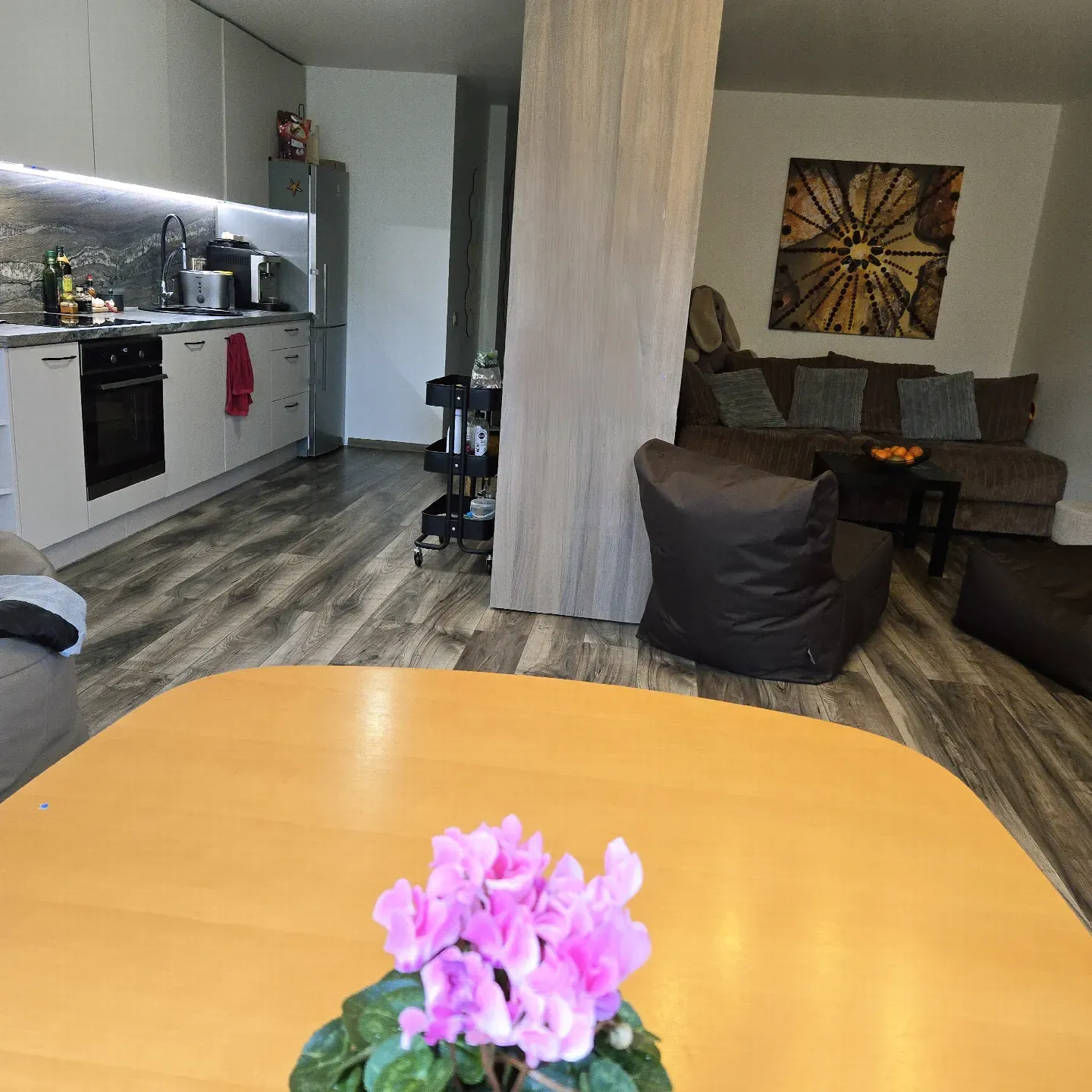 "Vėsa" - dvigubi apartamentai su terasa ir SPA nuotrauka